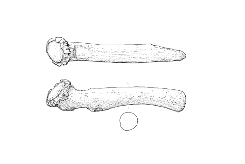 archaeological drawing of a bone artefact