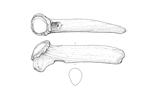 archaeological drawing of a bone artefact
