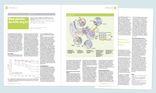 mockup of illustration applied in journal