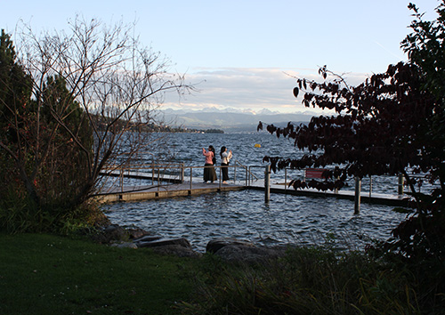 photography into the sky on a rainy day, showing the tip of a building and birds in the sky
