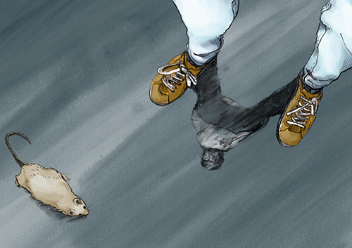 legs and feet of a person that sees his reflection on the floor on which a mouse is standing